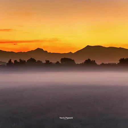 Villa Selvagiurata *