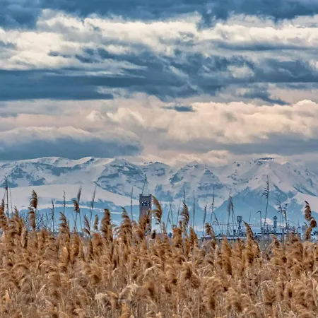 Villa Selvagiurata *