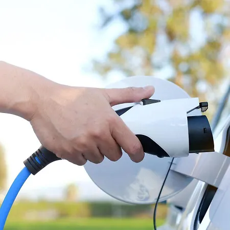 Selvagiurata San Benedetto del Tronto