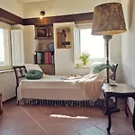 Selvagiurata San Benedetto del Tronto