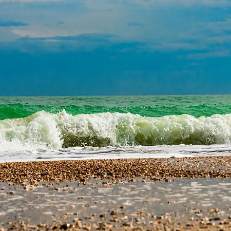 Selvagiurata * San Benedetto del Tronto