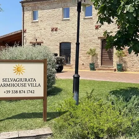 Selvagiurata