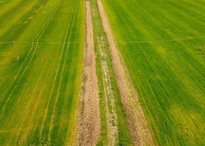 Selvagiurata Βίλα