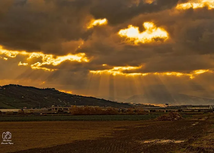Selvagiurata * Σαν Μπενεντέτο ντελ Τρόντο