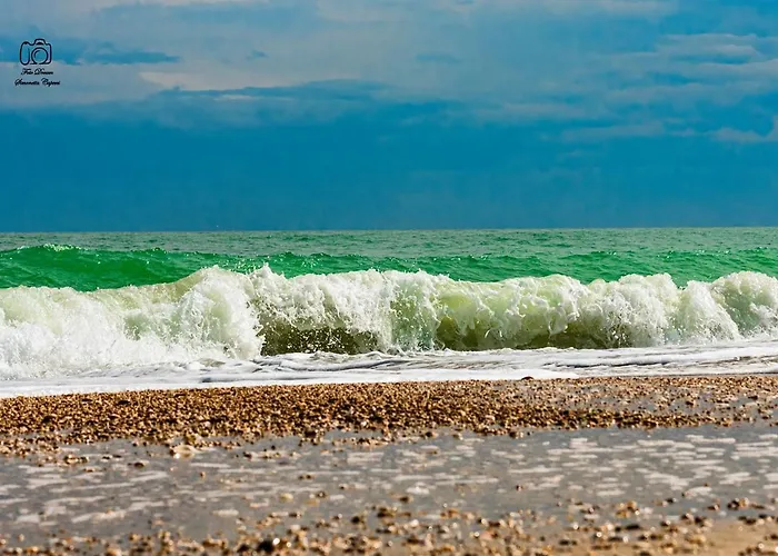 Selvagiurata * Σαν Μπενεντέτο ντελ Τρόντο